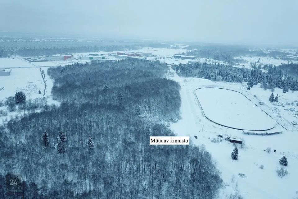 Ärimaa või Tootmismaa, 2603 m² Maa  -  Harku vald, Rannamõisa küla - foto 5