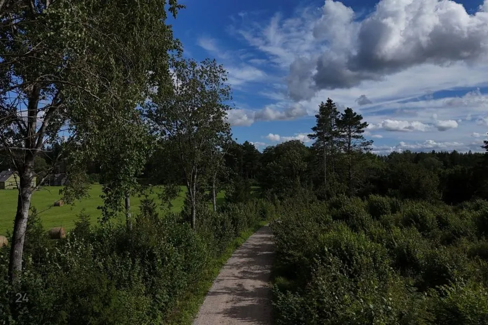 Maatulundusmaa, 51791 m² Maa - Lääne-Harju vald, Ohtu küla - foto 2