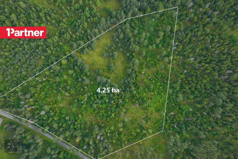 Maatulundusmaa, 42593 m² Maa  -  Hiiumaa vald, Mägipe küla - foto 2