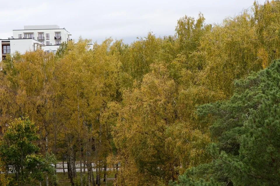 3-toaline Korter  -  Tallinn, Mustamäe linnaosa - foto 5