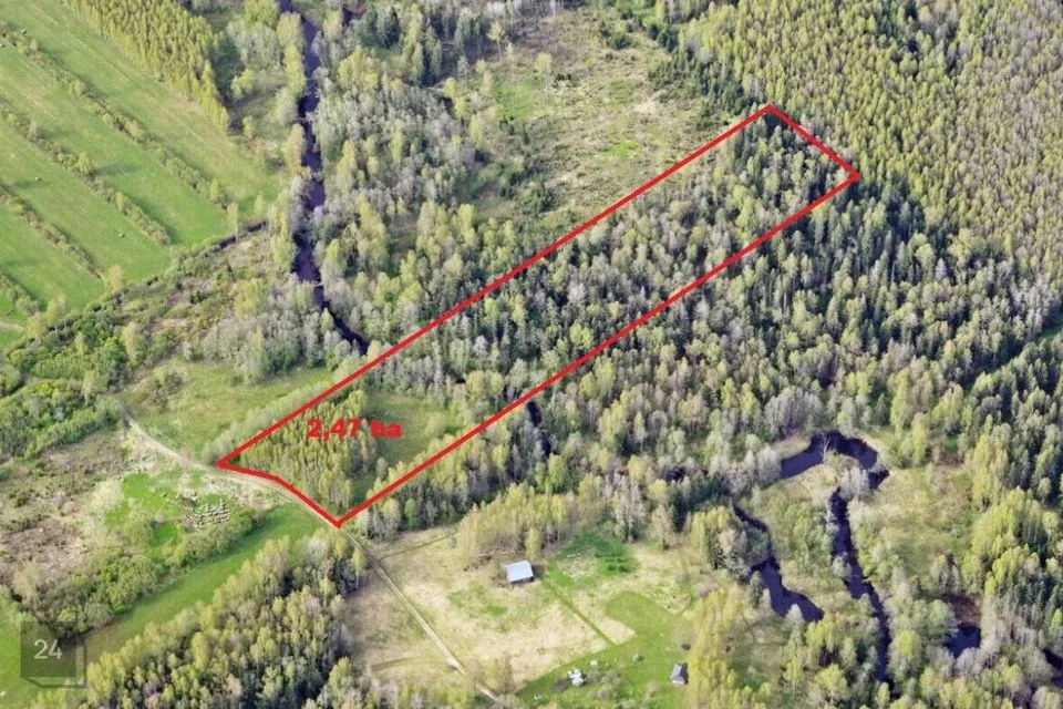 Maatulundusmaa, 24774 m² Maa - Anija vald, Voose küla - foto 2