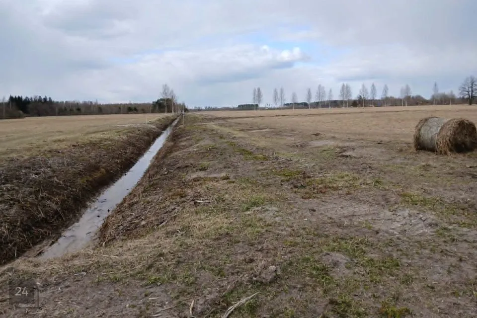 Maatulundusmaa, 20086 m² участок в Pärnu linn, Papsaare küla - фото 3