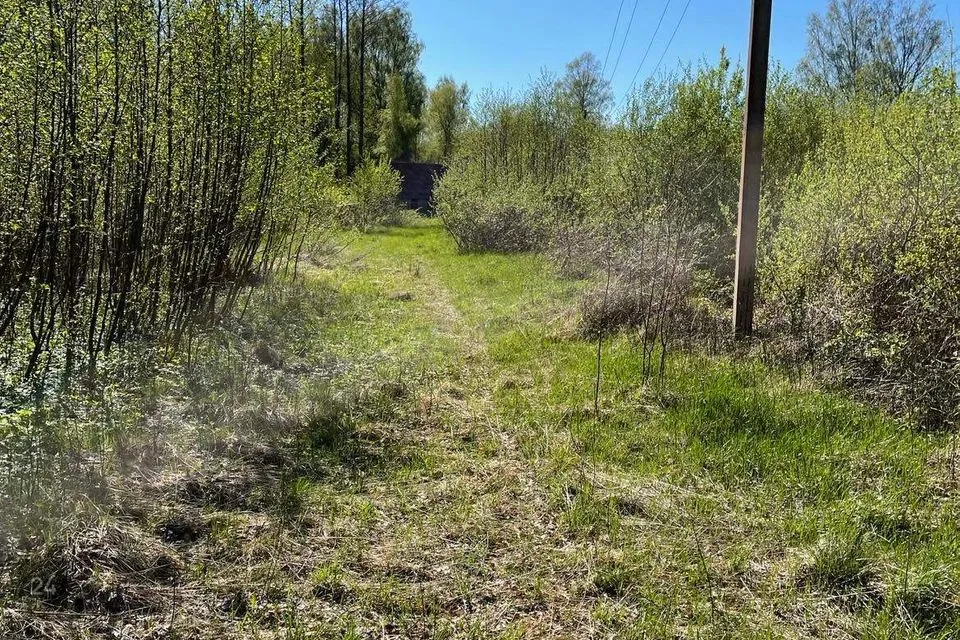 3-комнатная дом в Viljandi vald, Vaibla küla - фото 5