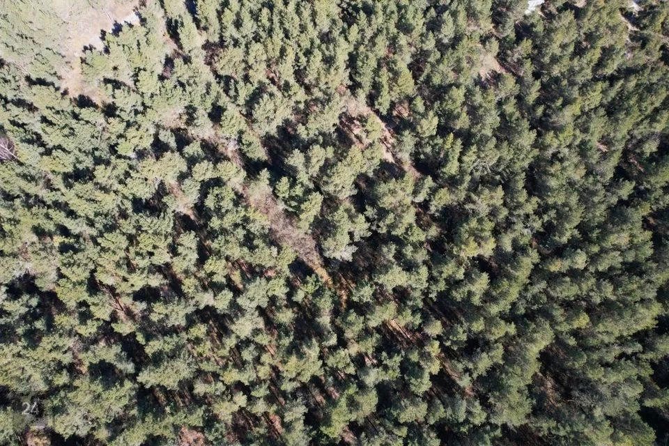 Земля жилой застройки, 9887 m² участок в Muhu vald, Kallaste küla - фото 2