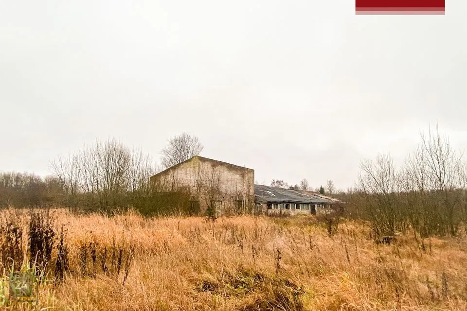 Muu, 736 m² Äripind  -  Viljandi vald, Mäeltküla - foto 4