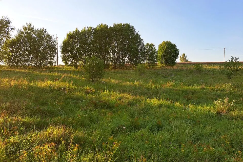 Elamumaa, 5073 m² Maa  -  Tartu vald, Erala küla - foto 3