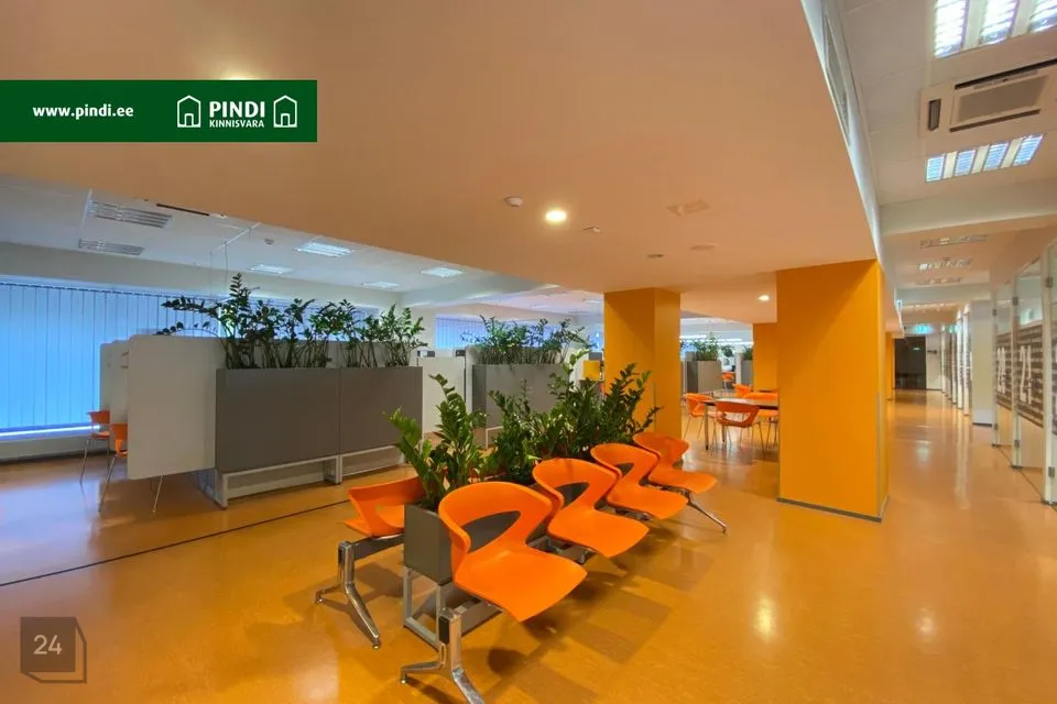 Mitme sihtotstarbega, 587 m² Äripind - Tallinn, Kesklinna linnaosa - foto 4