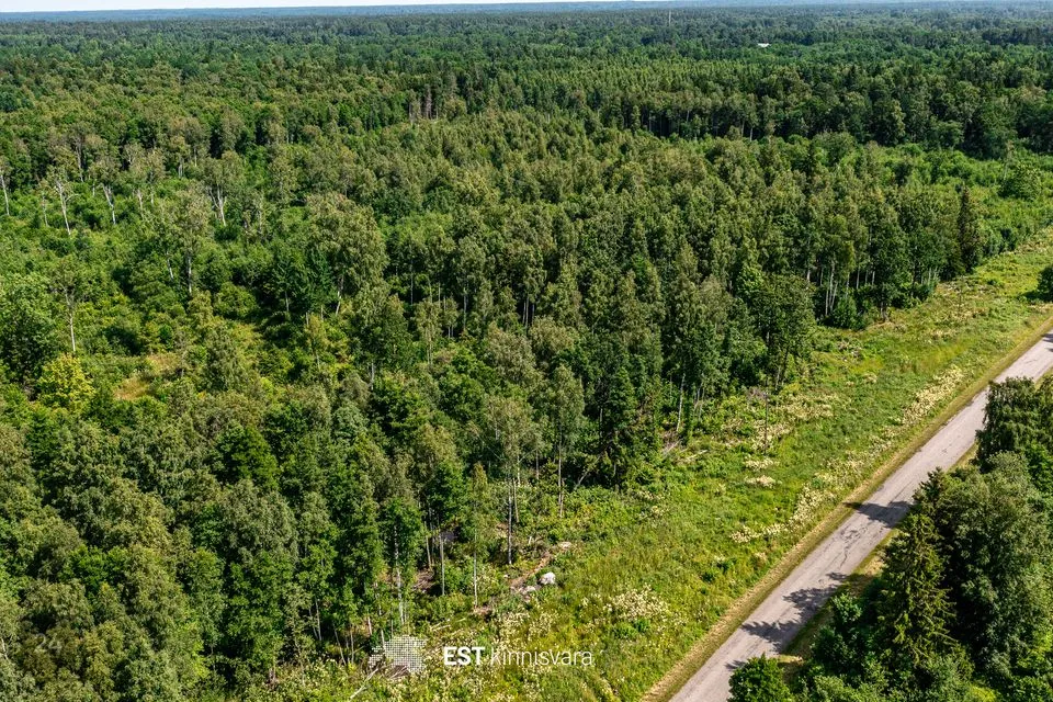 Maatulundusmaa, 10157 m² Maa - Lääneranna vald, Rädi küla - foto 5