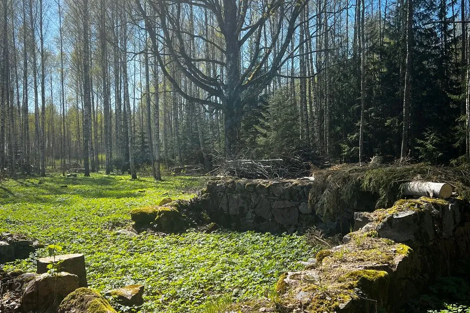Elamumaa, 17877 m² Maa - Räpina vald, Meeksi küla - foto 4
