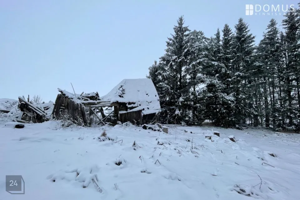193 m² Maja  -  Järva vald, Tammeküla - foto 5