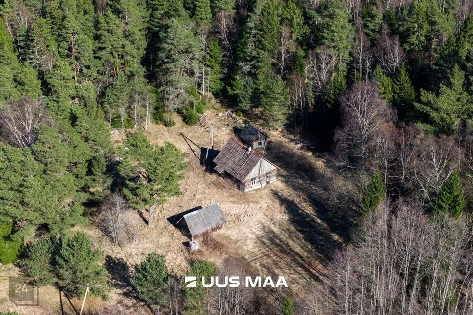 Maatulundusmaa, 87600 m² Maa  -  Lääne-Nigula vald, Tuksi küla / Bergsby - foto 2