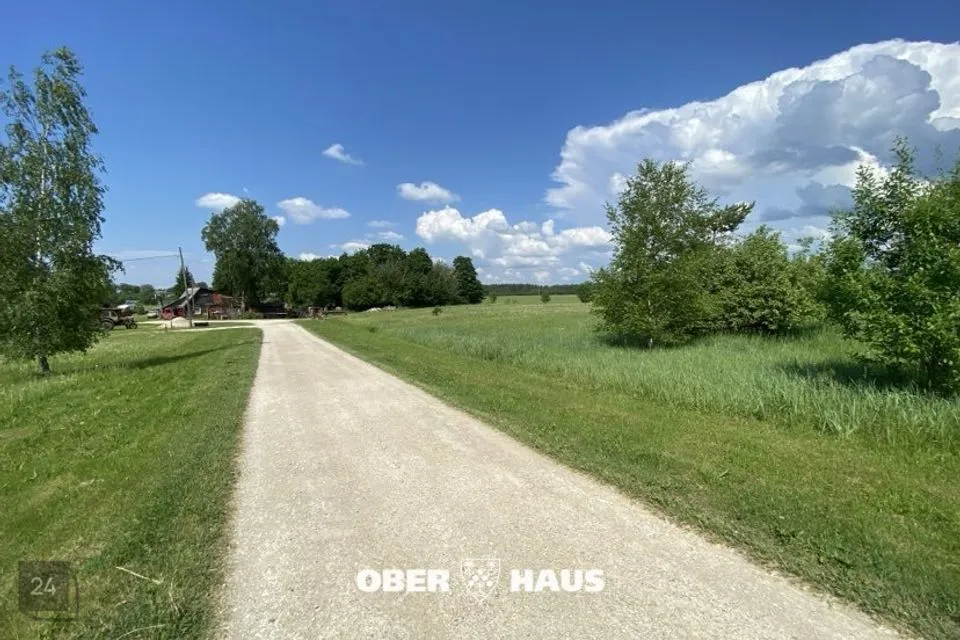 Maatulundusmaa, 4988 m² Maa  -  Märjamaa vald, Orgita küla - foto 2