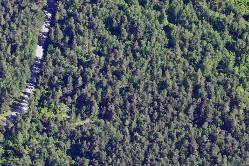 Maatulundusmaa, 55453 m² участок в Saaremaa vald, Turja küla - фото 2