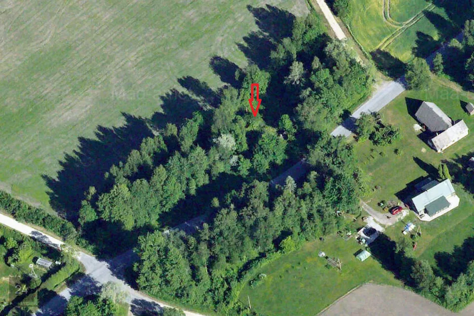 Elamumaa, 3894 m² Maa  -  Märjamaa vald, Rääski küla - foto 2