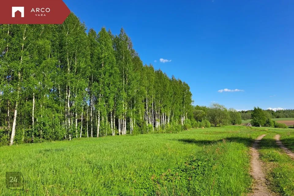 Maatulundusmaa, 22300 m² участок в Kambja vald, Pühi küla - фото 3