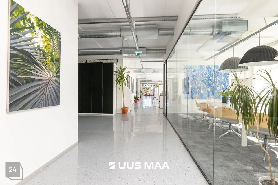 Büroo, 230 m² Äripind  -  Tallinn, Põhja-Tallinna linnaosa - foto 4