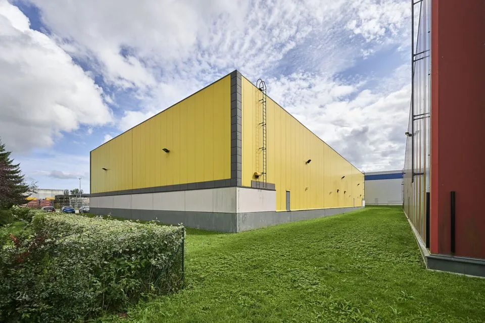 2527 m² Äripind  -  Saku vald, Tänassilma küla - foto 5