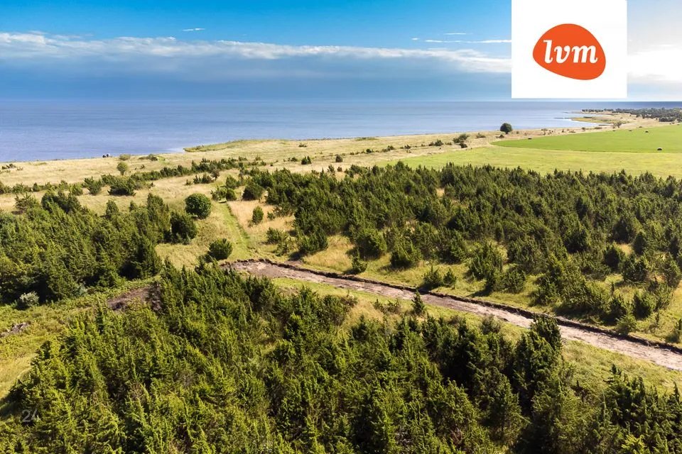 Земля жилой застройки, 6238 m² участок в Saaremaa vald, Suure-Rootsi küla - фото 2