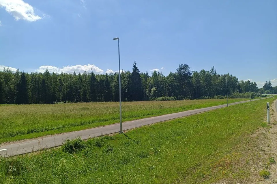 Maatulundusmaa, 29688 m² Maa - Võru vald, Puusepa küla