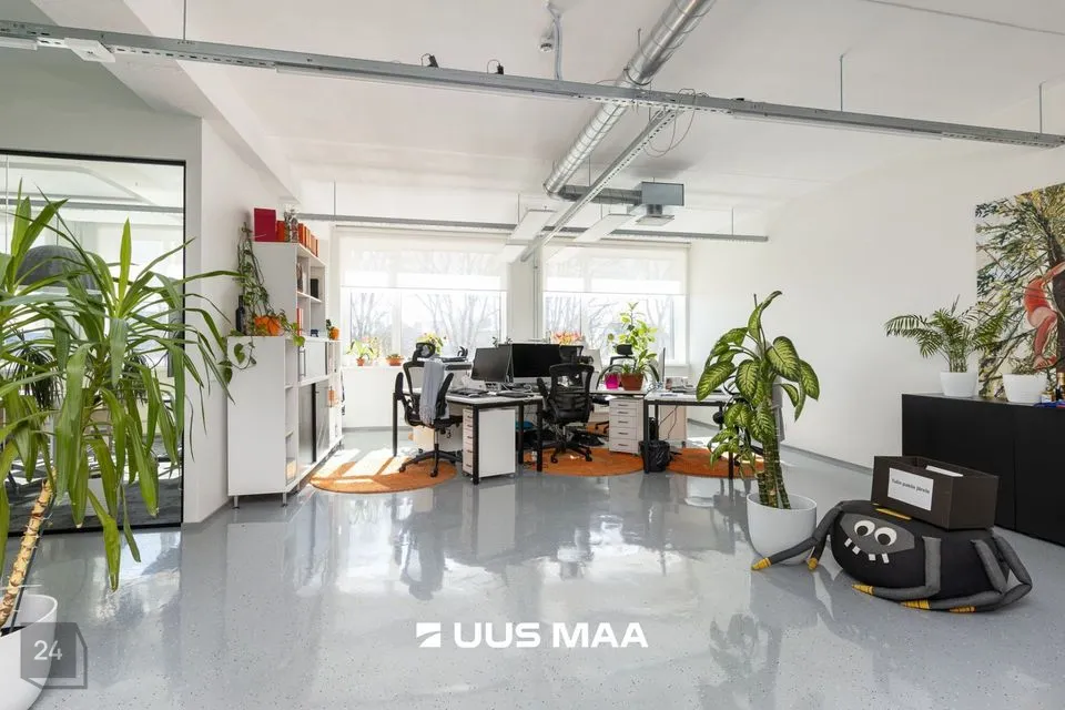 Büroo, 342 m² Äripind  -  Tallinn, Põhja-Tallinna linnaosa - foto 3