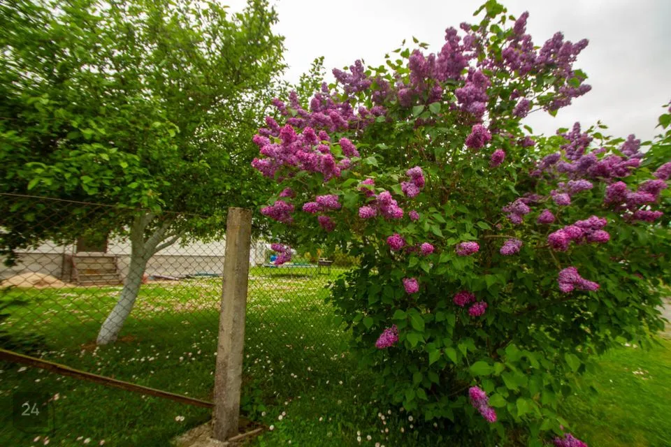 4-toaline Maja  -  Saue vald, Vatsla küla - foto 2