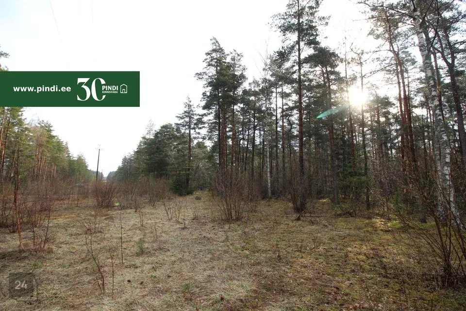 Maatulundusmaa, 13961 m² Maa  -  Hiiumaa vald, Vahtrepa küla - foto 3