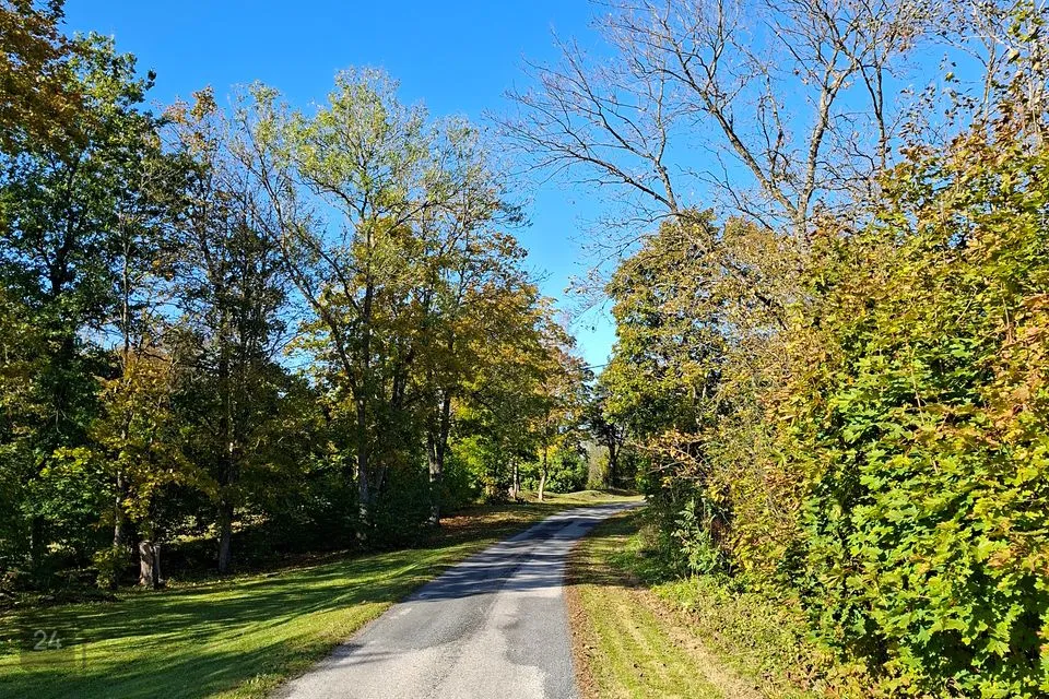 Maatulundusmaa, 5007 m² Maa  -  Lääne-Nigula vald, Linnamäe küla - foto 5
