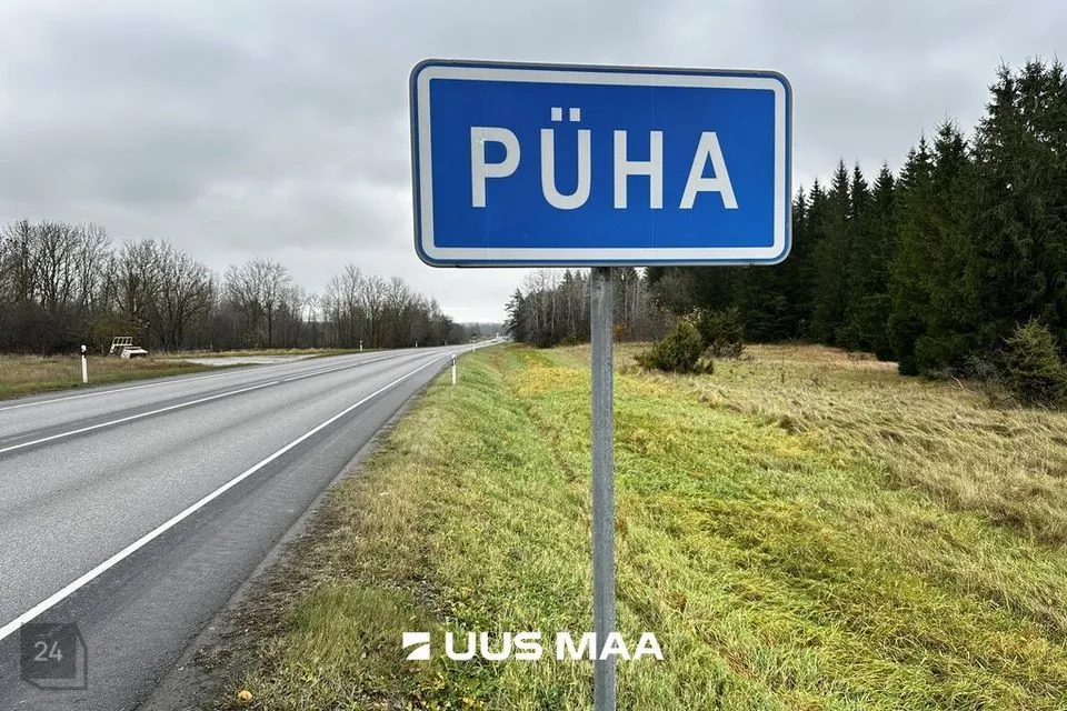 Maatulundusmaa Maa - Saue vald, Püha küla - foto 3