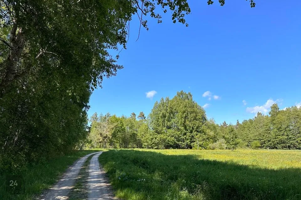 Maatulundusmaa, 9016 m² участок в Hiiumaa vald, Tammistu küla - фото 4