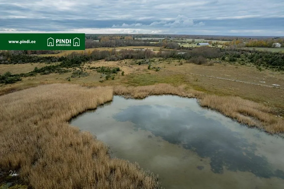 Cultivated land, 68877 m² land in Saaremaa vald, Kungla küla - photo 5