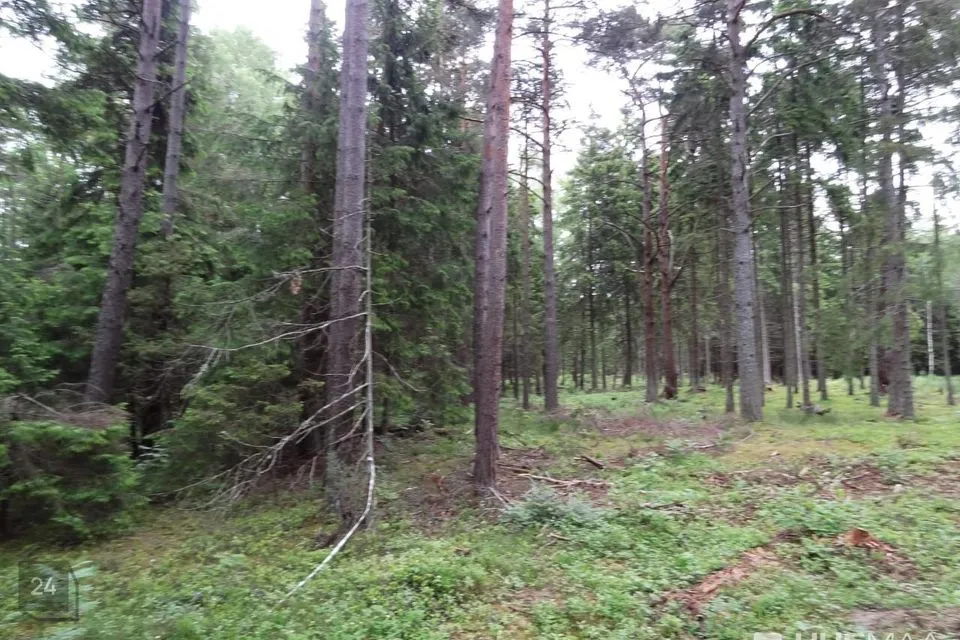 Elamumaa või Elamumaa, 5766 m² Maa  -  Lääne-Nigula vald, Spithami küla / Spithamn