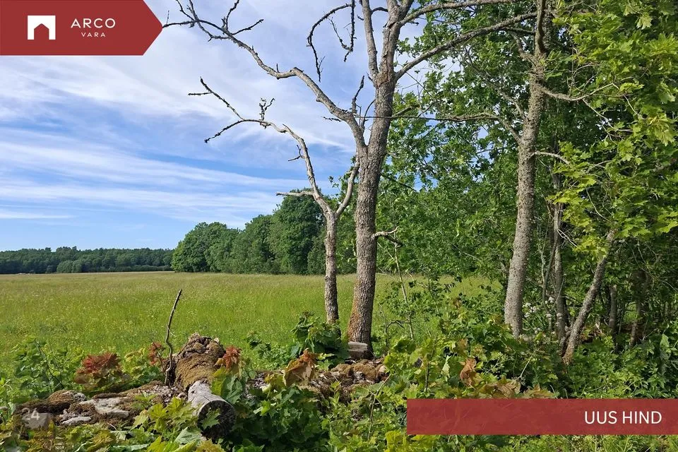 Maatulundusmaa, 28997 m² Maa  -  Muhu vald, Lehtmetsa küla - foto 2