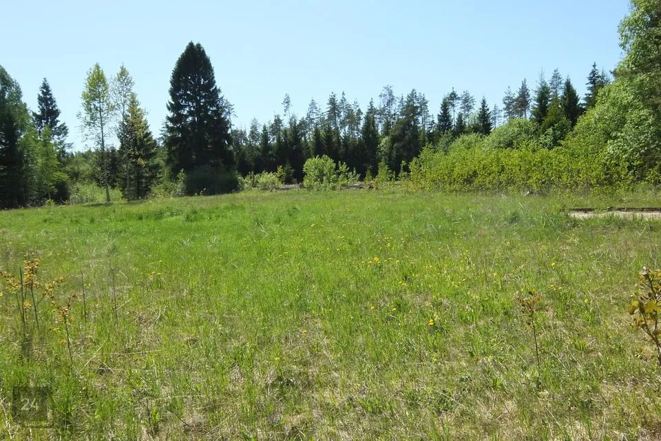 Maatulundusmaa, 13058 m² Maa  -  Anija vald, Lükati küla - foto 4