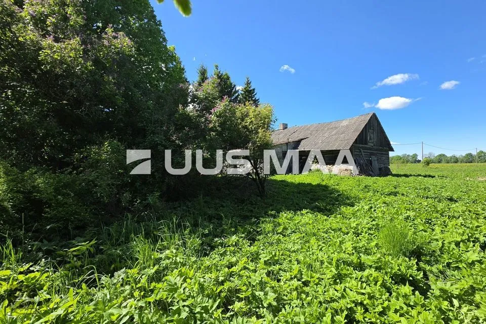 Земля жилой застройки, 15133 m² участок в Tapa vald, Tõõrakõrve küla