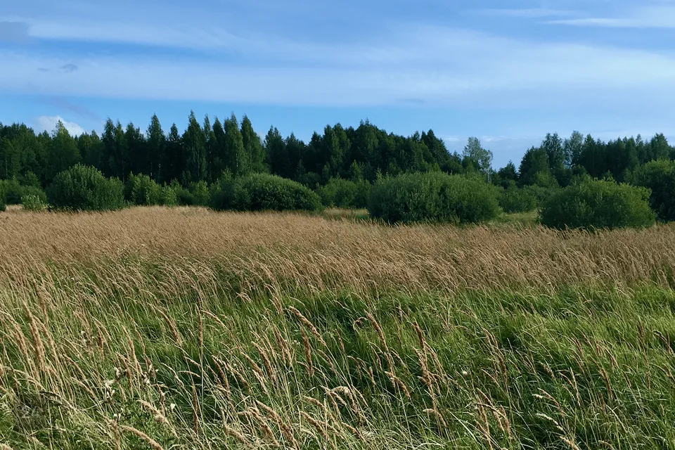 85000 m² участок в Häädemeeste vald, Orajõe küla - фото 2