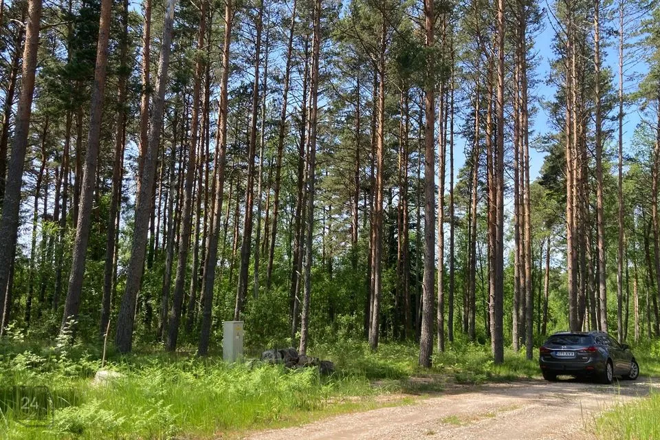 Земля жилой застройки, 11261 m² участок в Saaremaa vald, Järve küla - фото 3