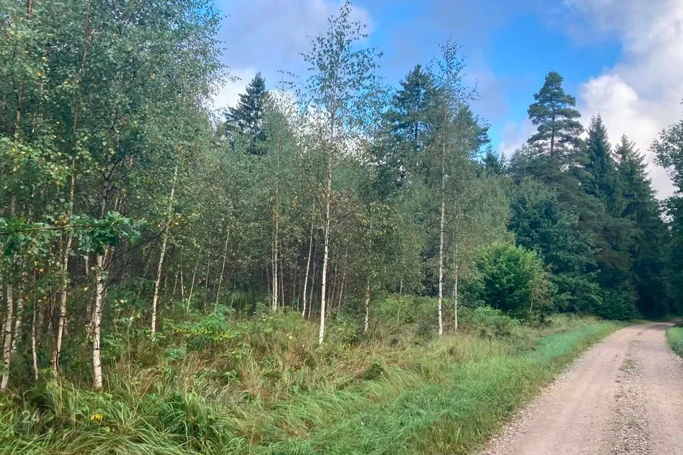 Maatulundusmaa, 2063 m² участок в Saaremaa vald, Pöitse küla - фото 4