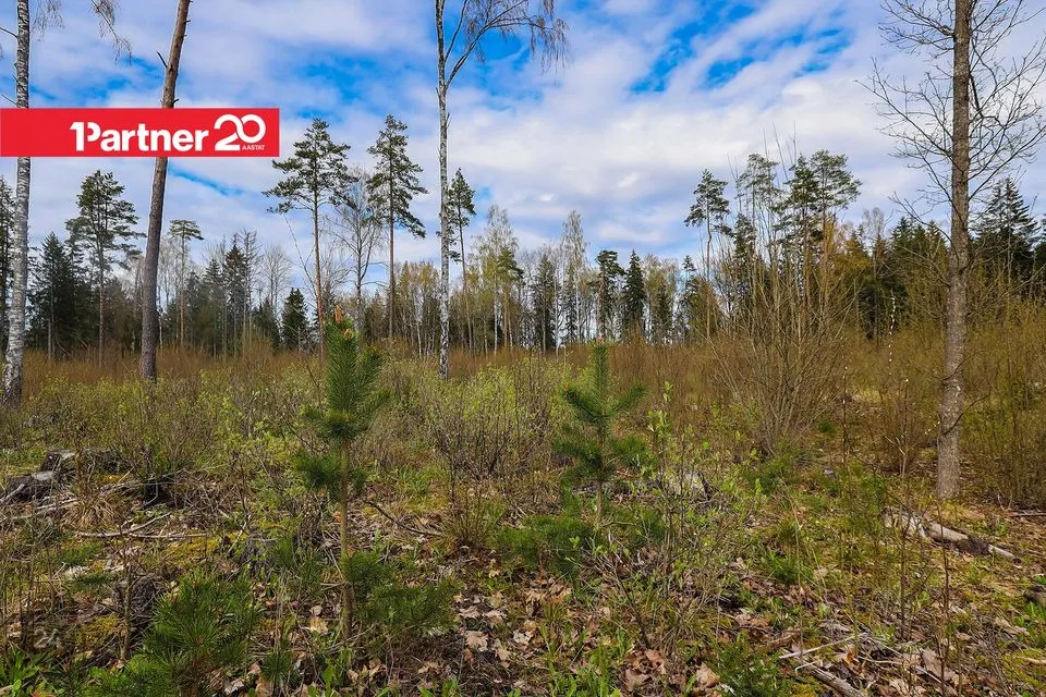 Cultivated land, 17306 m² land in Kohila vald, Urge küla