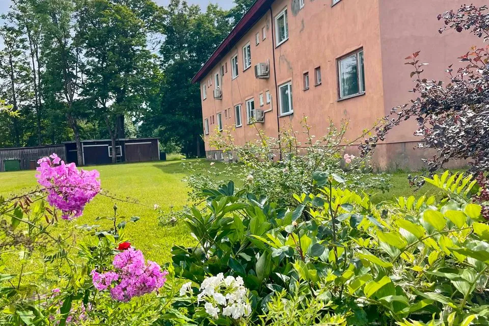 3-toaline Korter  -  Jõgeva vald, Kurista küla - foto 4