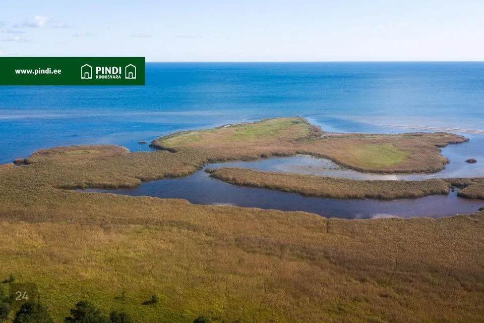 Maatulundusmaa, 473000 m² участок в Saaremaa vald, Kaimri küla - фото 4