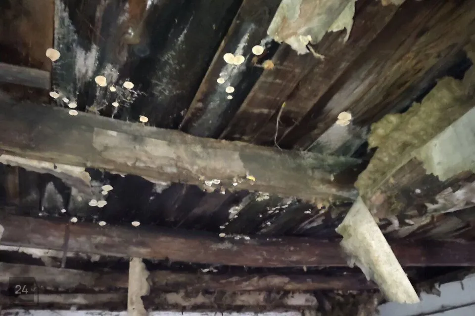 24 m² Garaaž  -  Kambja vald, Ülenurme alevik - foto 4