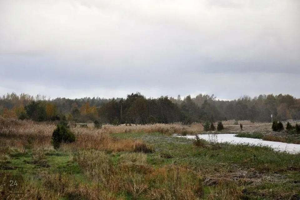 6053 m² Maa - Lääne-Nigula vald, Hara küla / Harga - foto 3