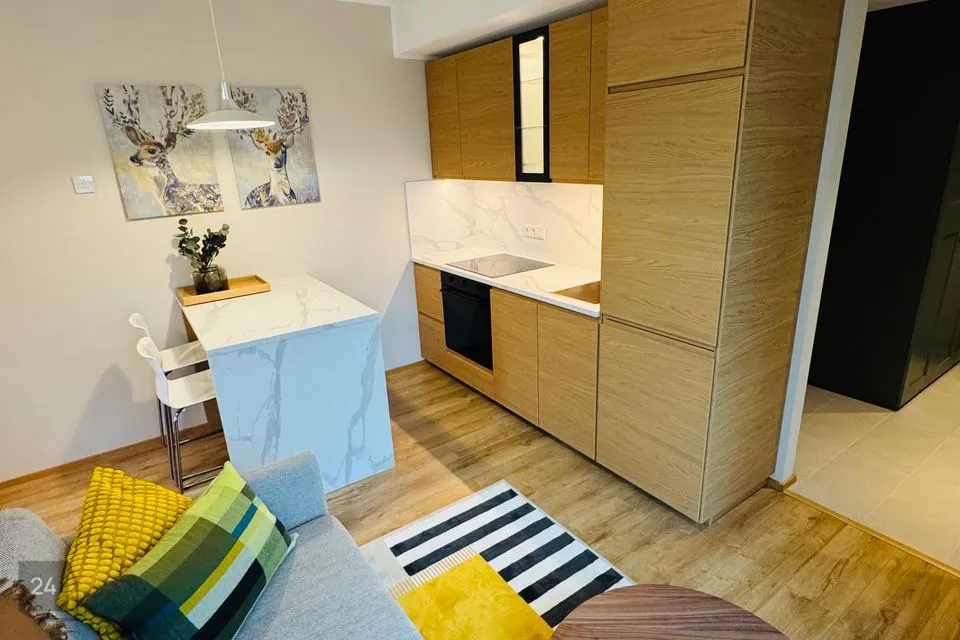 1-toaline Korter - Maardu linn