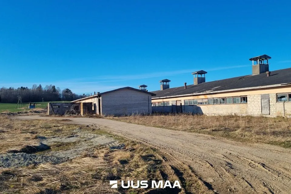 Земля производственного назначения, 21192 m² участок в Vinni vald, Aasuvälja küla - фото 4