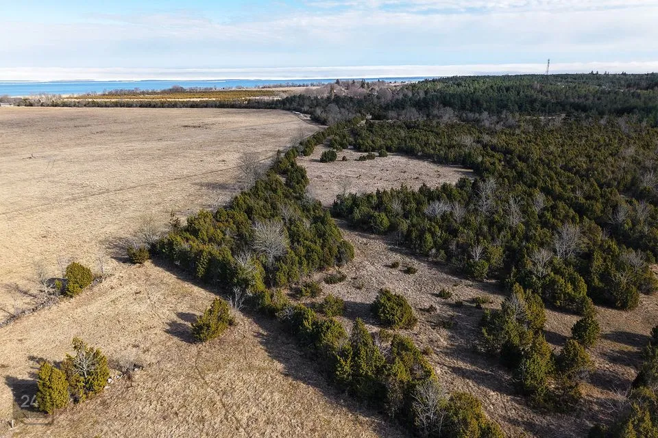 Maatulundusmaa, 37002 m² участок в Muhu vald, Võlla küla - фото 5