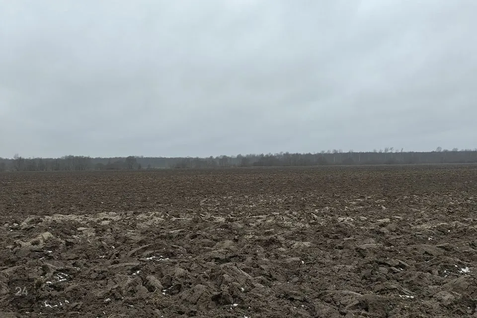 Maatulundusmaa, 289337 m² участок в Märjamaa vald, Läti küla