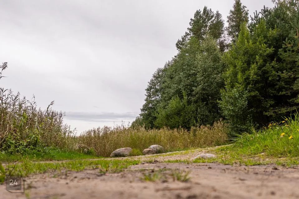 Sotsiaalmaa - üldkasutatav maa või Ärimaa, 25883 m² Maa  -  Pärnu linn, Seljametsa küla - foto 2