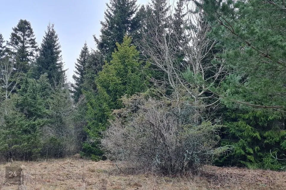 Elamumaa, 21784 m² Maa  -  Hiiumaa vald, Mägipe küla - foto 5