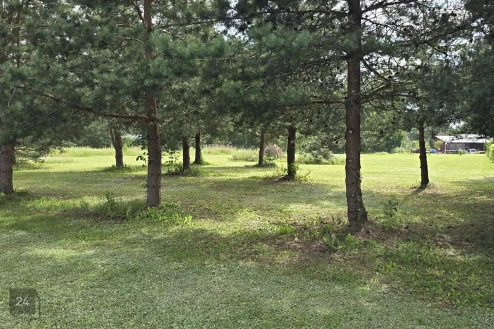 Maatulundusmaa, 2451 m² Maa - Kastre vald, Kurepalu küla