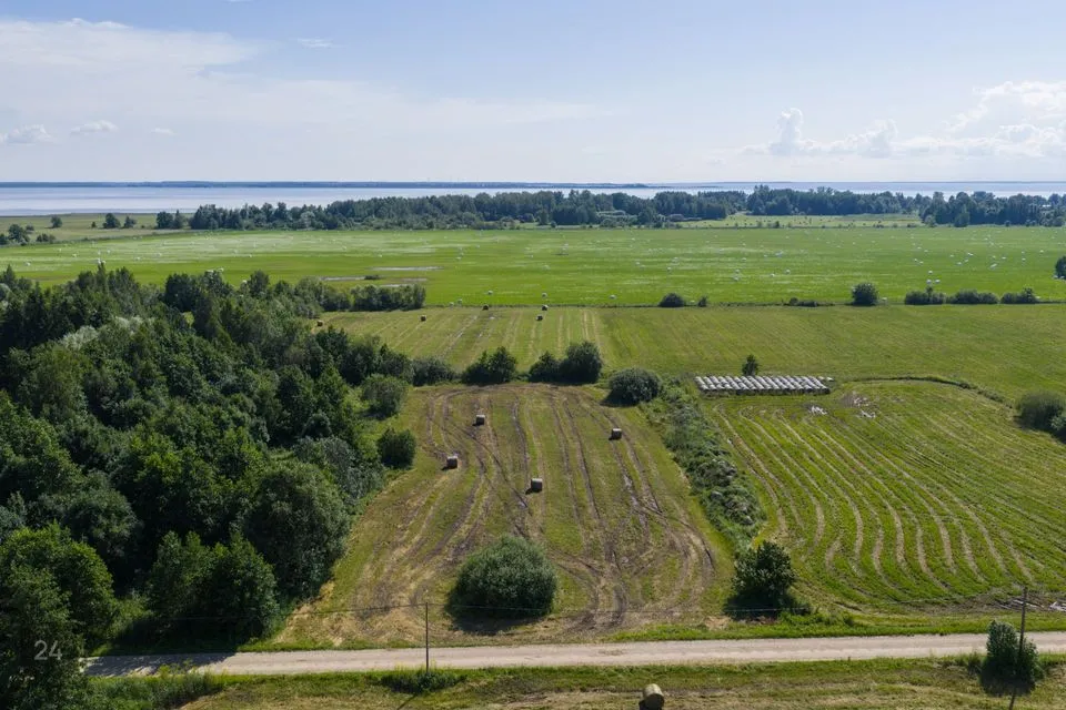 Residential land, 5013 m² land in Haapsalu linn, Kiideva küla - photo 4